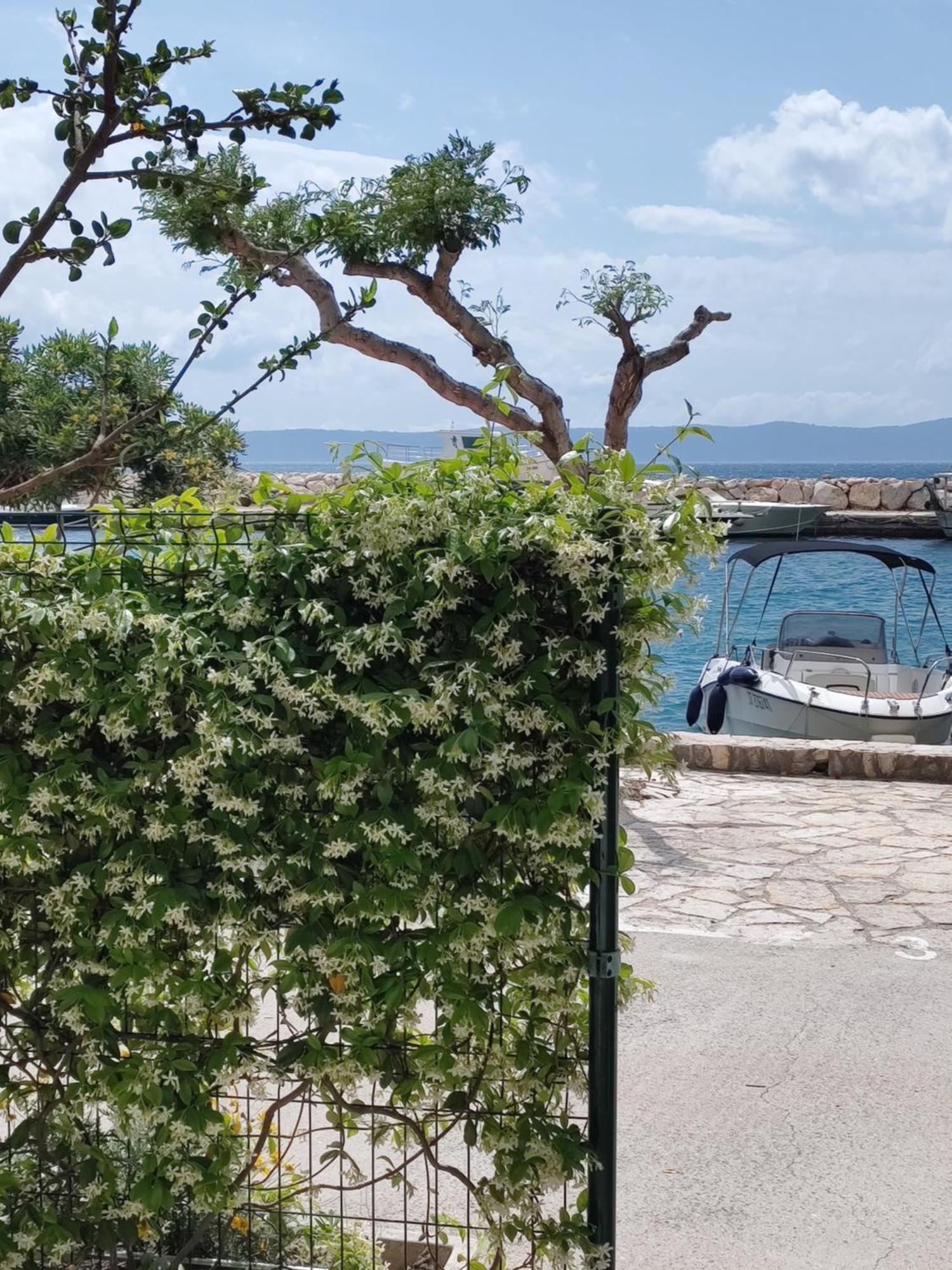Apartmani Ines Drasnice Luaran gambar